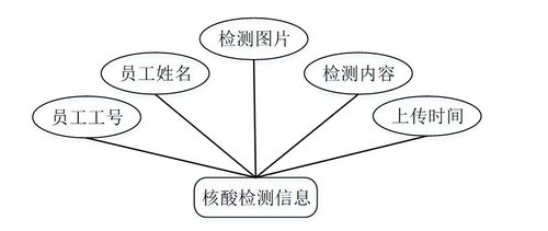 公司疫情健康信息管理系統(tǒng)——基于Java SSM框架的計算機畢業(yè)設(shè)計實踐